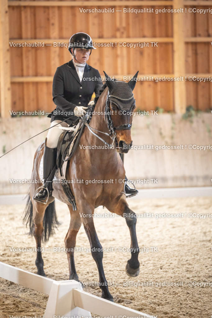 _D5A8921 | Emotionale Pferde- & People-Fotografie rund um Heidelberg, Leimen & Umgebung. Natürliche Fotos von Pferd, Mensch & Familie. Jetzt Termin sichern!