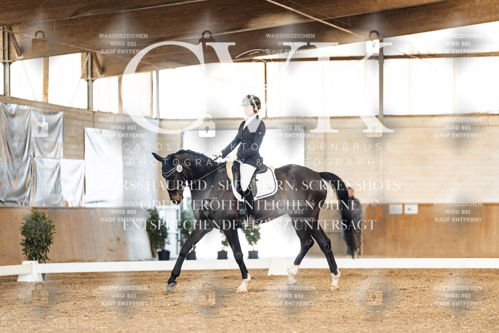 CK901168 | Turnierfotografie Pferdefotografie Trier Rheinland-Pfalz Pferdesport Reitsport Tierfotografie Sportfotografie Pferdevideo Pferdevideografie Equestrianvideography equestrianphotography  - Realisiert mit Pictrs.com