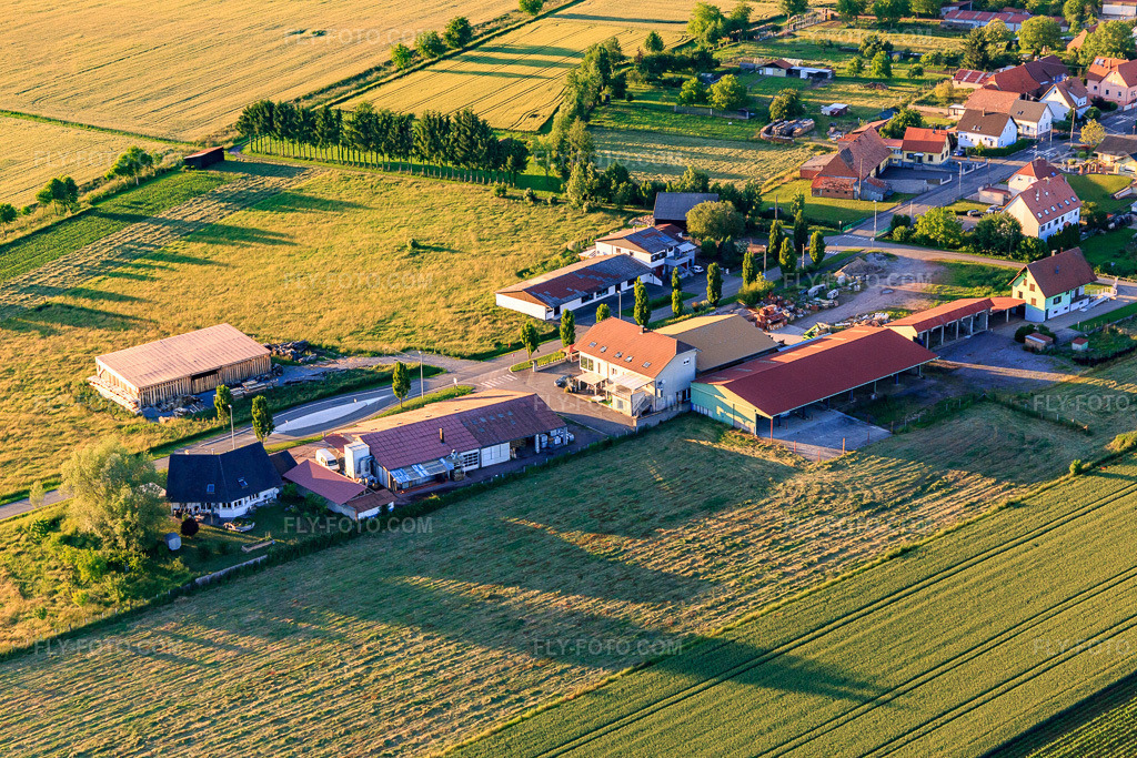 Aerial view: Rte de Hatten in Buhl in the state Bas-Rhin, France. – Photo: IMG_115521.jpg taken on 06/16/2019 by Werner Riehm/FLY-FOTO.com – Resolution of the original: 5472 x 3648 px