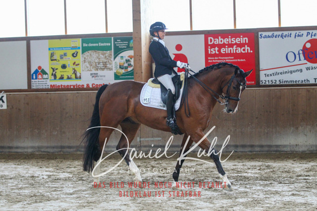 DKP44729 | Turniersportfotografie; Pferdefotografie; Dressurfotografie