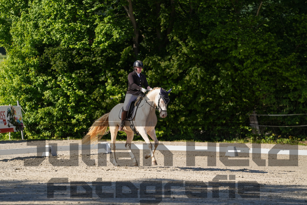 DSC00744 | Julian Held Fotografie - Realisiert mit Pictrs.com