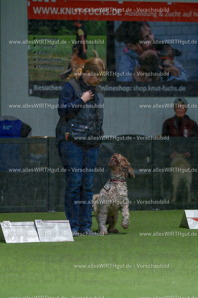 7R507842 | Professionelle Tierfotografie in Mönchengladbach von Daniel Wirth (allesWIRTHgut). Liebevolle & natürliche Bilder von Hunden & Katzen für unvergessliche Erinnerungen.