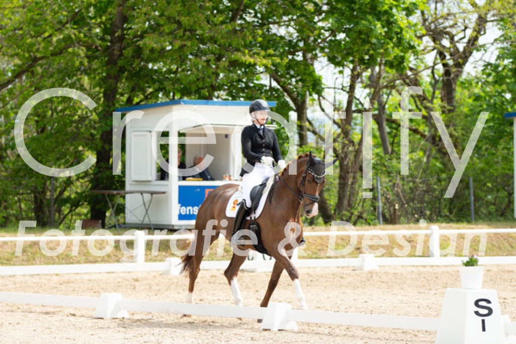 IMG_2289 | Creatify Fotografie