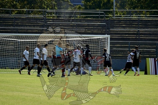 BFC Dynamo vs. Berliner AK 07 036 | mythos-online-redaktion