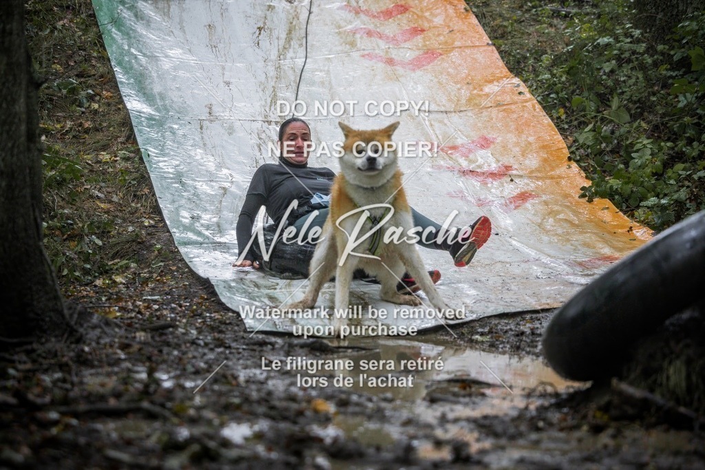 nelerasche_Hunsrück_Sa1200-1230_13-final | nelerasche