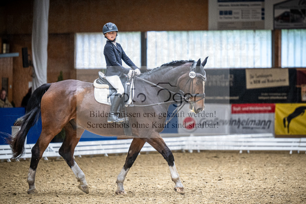 DOS_2554 | Entdecke hochwertige Reitturnierfotos von Foto Oger. Professionell, emotional und authentisch – jetzt Lieblingsmomente im Shop bestellen.Deutschlandweite Turnierfotografie. - Realisiert mit Pictrs.com