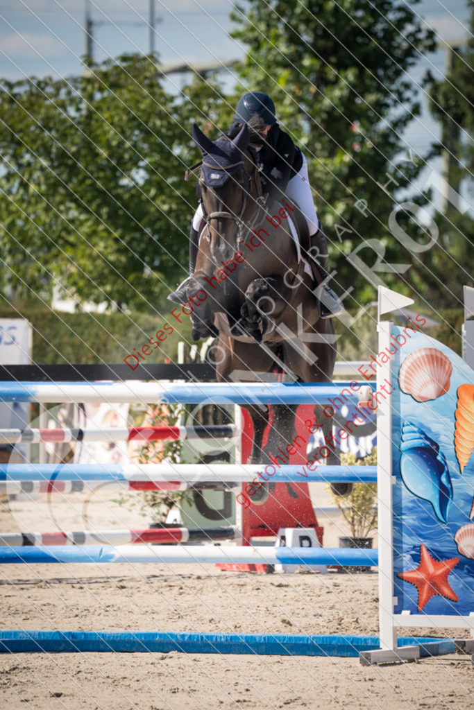 DSC_3609 | Sport-, Event- und Tierfotos in Profiqualität. Einfach auswählen, bestellen und herunterladen. Dein Moment – perfekt festgehalten.