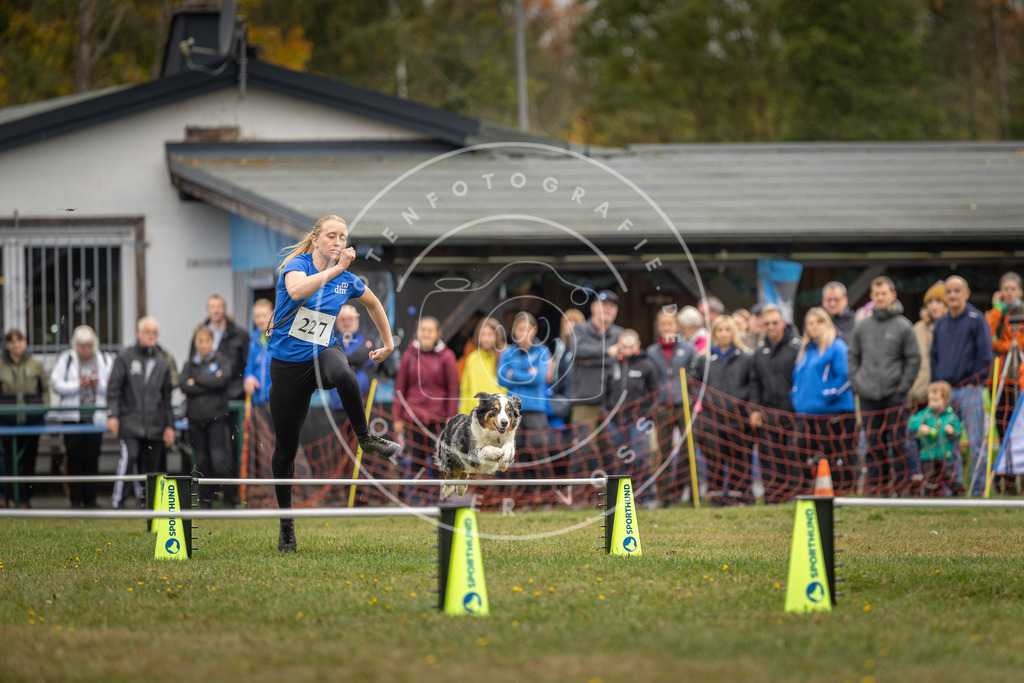 Pfotenfotografie_DV3A3209 | Hundefotografie, Tierfotograf, Pfotenfotografie, Fotoshooting Hund, Hunde Portrait, Hundesport, Hundeportraits, Heideshooting, Hunde, Sportfotograf, Hundefotograf, Turnierhundsport, THS,  - Realisiert mit Pictrs.com