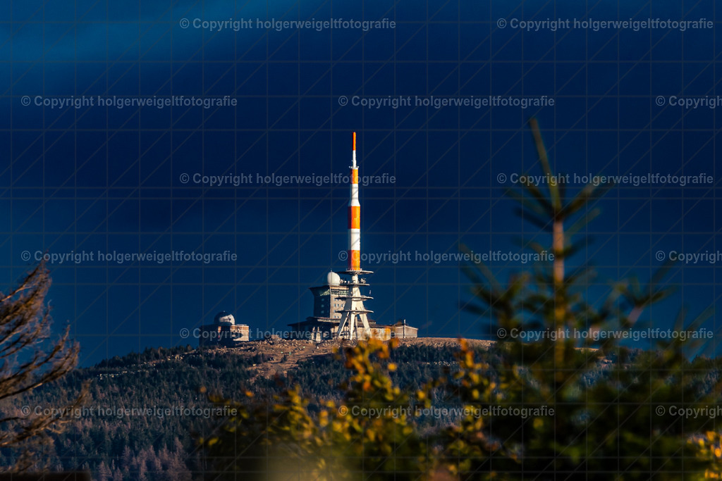 20221008171032D75_0774 | Kaufen sie online außergewöhnliche Fotografien auf Leinwand Acrylglas Fotoprint Aludibond von holgerweigeltfotografie - Realisiert mit Pictrs.com