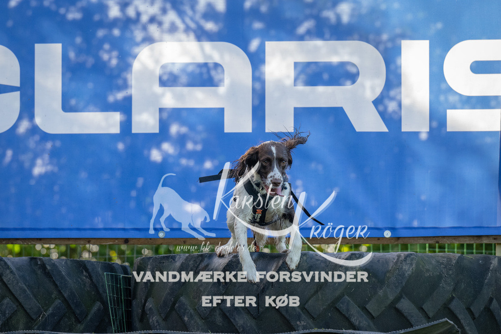 1129-92095 | kk-dogfotos