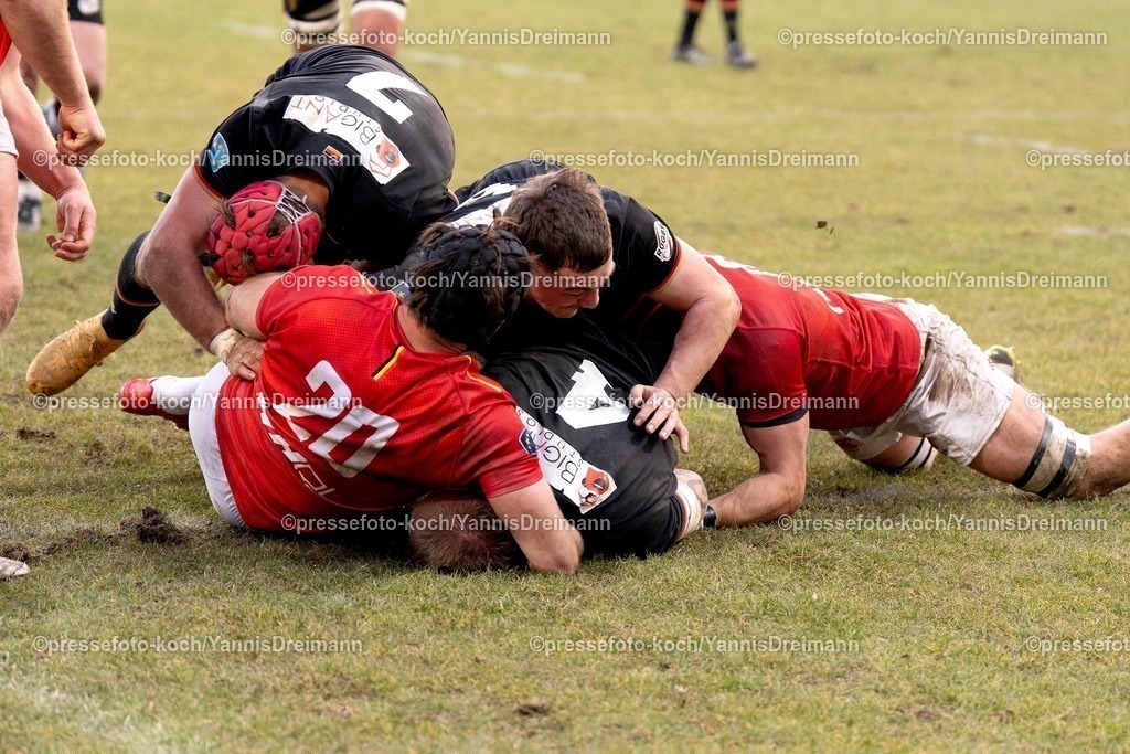 YDR1602250101047 | 16.02.2025, xydrx, Rugby Europe Championship, Deutschland - Belgien, 15er Männer, Auestadion Kassel: Luis Ball (Deutschland #4) punktet beim Versuch