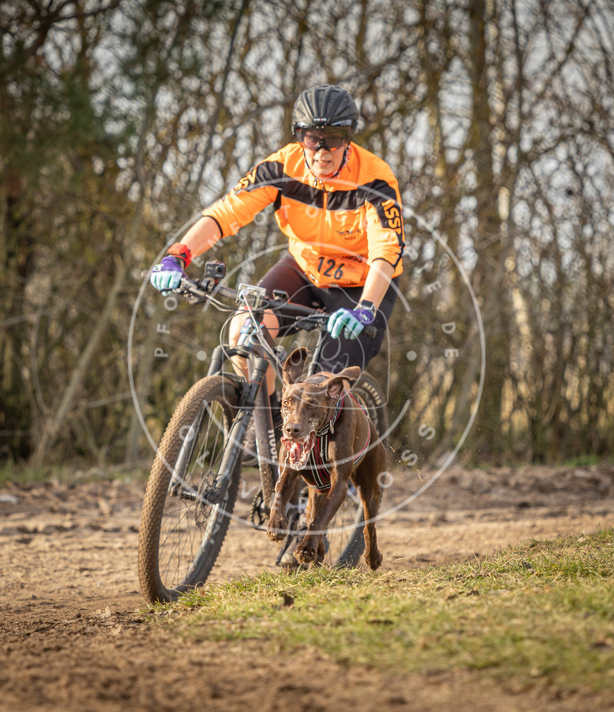 Pfotenfotografie_DV3A8492 | Hundefotografie, Tierfotograf, Pfotenfotografie, Fotoshooting Hund, Hunde Portrait, Hundesport, Hundeportraits, Heideshooting, Hunde, Sportfotograf, Hundefotograf, Turnierhundsport, THS,  - Realisiert mit Pictrs.com