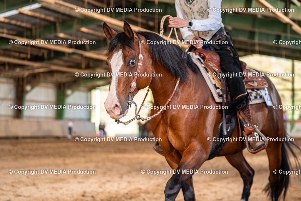 Balingen Tag 3-1396 | dv-media-shop - Realisiert mit Pictrs.com