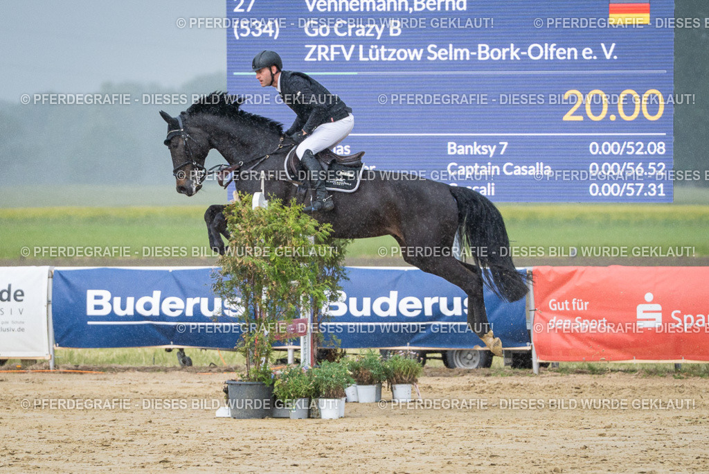 DSC04122 | Pferdegrafie