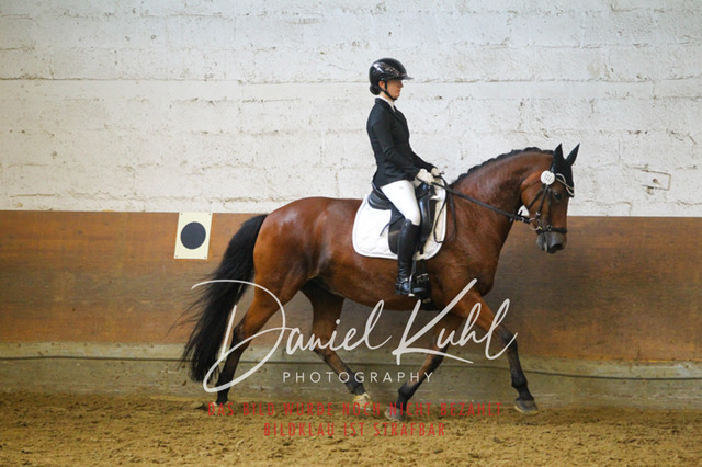 DKP43439 | Turniersportfotografie; Pferdefotografie; Dressurfotografie