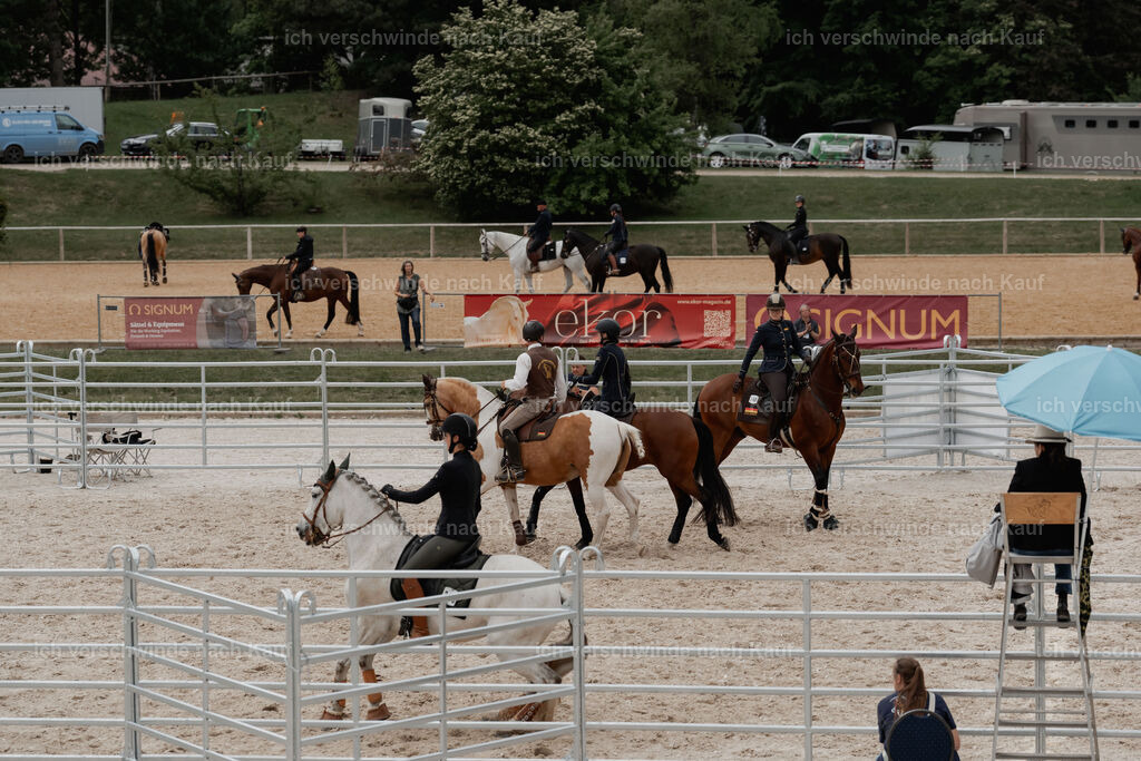 WE__Stoib_Rinder_PI2025_3153 | Pferd International München 2025