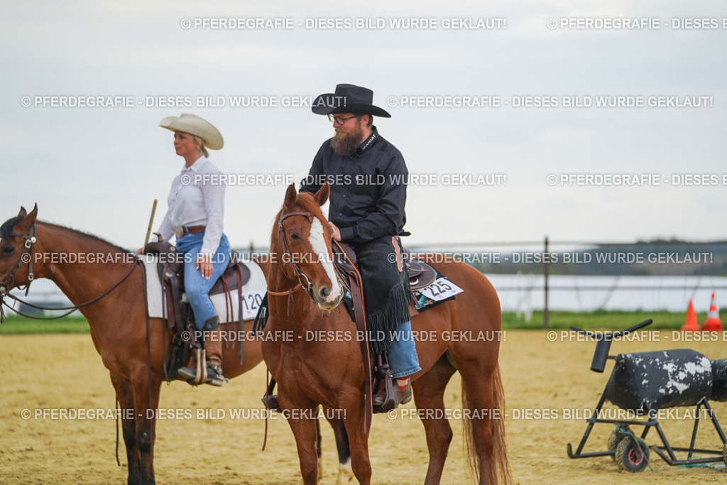 DSC08325 | Pferdegrafie