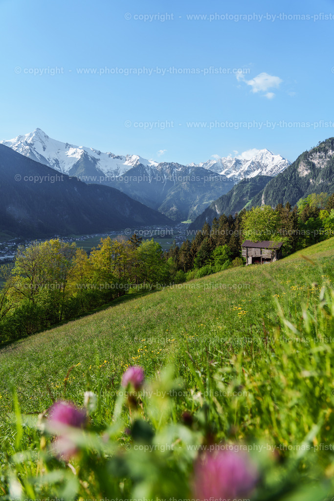 Schwendberg Frühling copyright  Thomas Pfister-2 | PHOTOGRAPHY BY THOMAS PFISTER