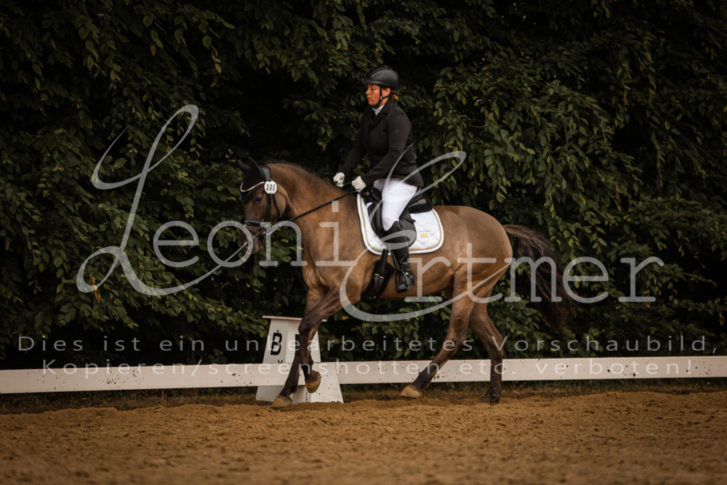 DoDrA00556 | Leoni Ertmer Photography - Realisiert mit Pictrs.com