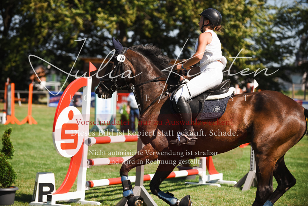 DSC_2858 | Pferde- und Turnierfotografie in Westsachsen. Pferdeportraits, Auftragszeichnungen und intuitive Kunst.