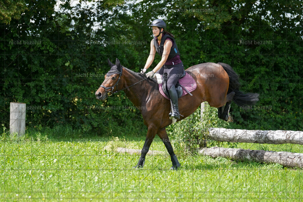 20240622-FAH07588 | Turnierfotografen Bayern, Reitsportbilder aus dem Geländekurs mit Felix Etzel auf dem Gut Waitzacker 2024