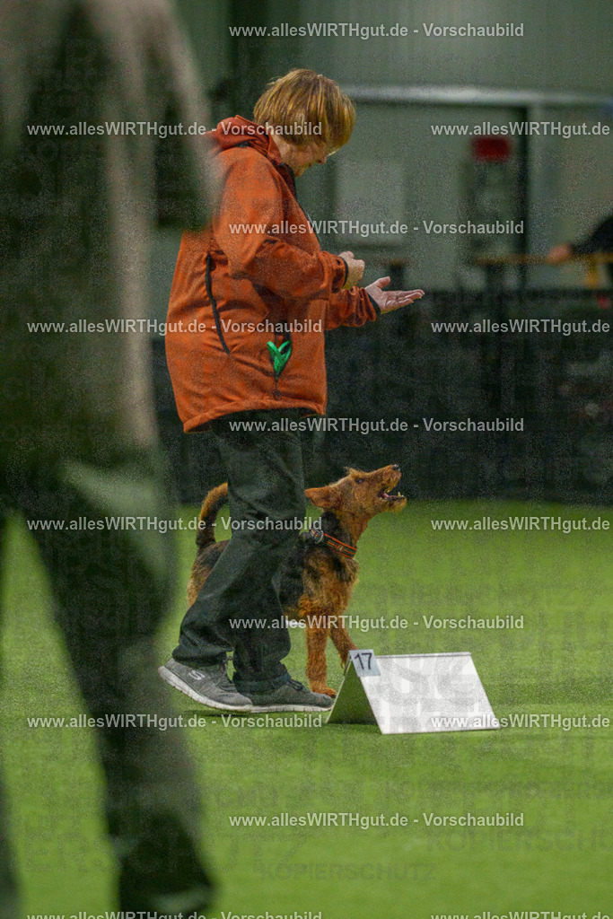 7R509229 | Professionelle Tierfotografie in Mönchengladbach von Daniel Wirth (allesWIRTHgut). Liebevolle & natürliche Bilder von Hunden & Katzen für unvergessliche Erinnerungen.