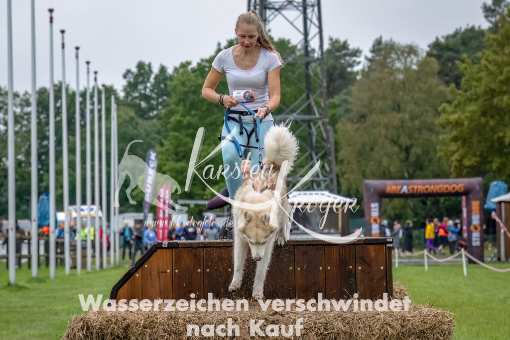 1212--5 | kk-dogfotos