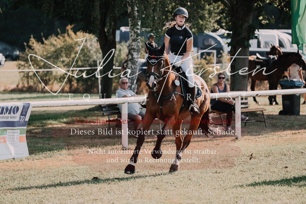 DSC_4665 | Pferde- und Turnierfotografie in Westsachsen. Pferdeportraits, Auftragszeichnungen und intuitive Kunst.