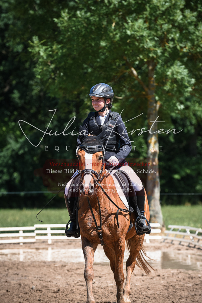 DSC_3249 | Pferde- und Turnierfotografie in Westsachsen. Pferdeportraits, Auftragszeichnungen und intuitive Kunst.