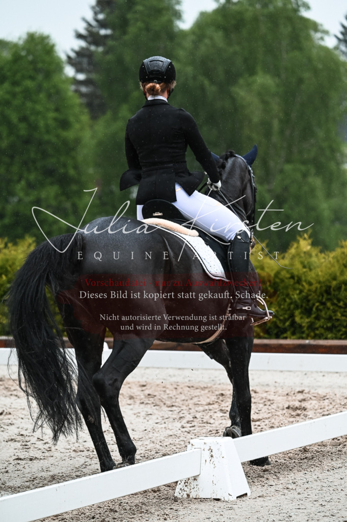 DSC_4490 | Pferde- und Turnierfotografie in Westsachsen. Pferdeportraits, Auftragszeichnungen und intuitive Kunst.
