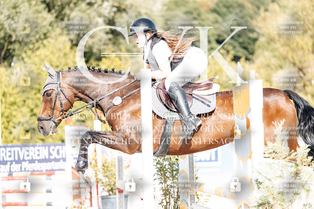 CK909292 | Turnierfotografie Pferdefotografie Trier Rheinland-Pfalz Pferdesport Reitsport Tierfotografie Sportfotografie Pferdevideo Pferdevideografie Equestrianvideography equestrianphotography  - Realisiert mit Pictrs.com