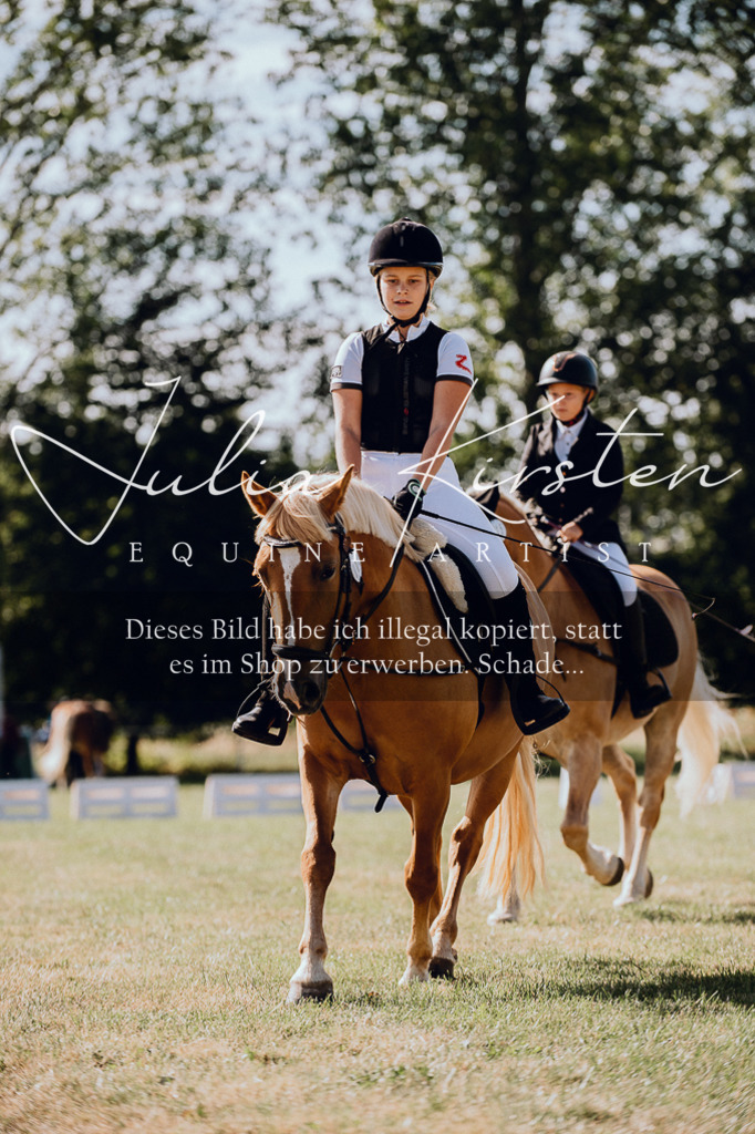 DSC_7055 | Pferde- und Turnierfotografie in Westsachsen. Pferdeportraits, Auftragszeichnungen und intuitive Kunst.