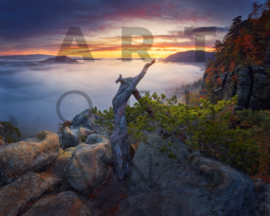 Ein Hans Fineart Original | Entdecke die Kunst von Hans Fineart - Fotografien für dein Zuhause. Verwandle deine Wände mit einzigartigen Kunstwerken und bringe die Schönheit der Welt in dein Leben. Bestelle jetzt und schaffe einen Ort der Inspiration und Eleganz.