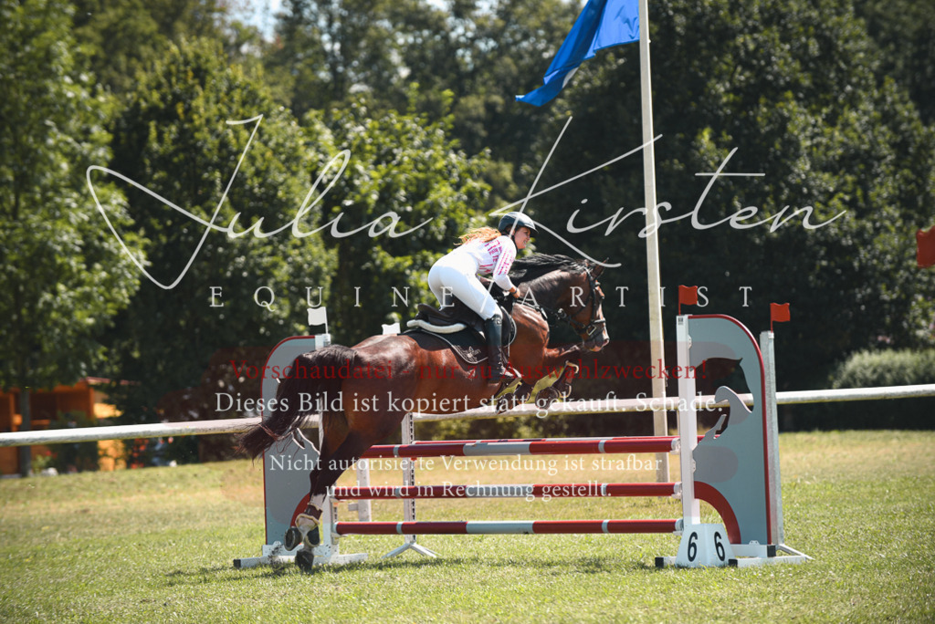 DSC_6560 | Pferde- und Turnierfotografie in Westsachsen. Pferdeportraits, Auftragszeichnungen und intuitive Kunst.