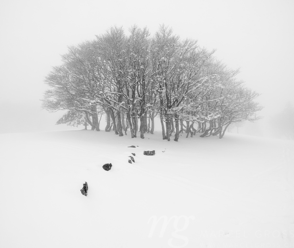 20240421_CreuxDuVan-0202-Pano | Die ideale Geschenkidee für Naturliebhaber. Naturbilder von Marcel Gross Photography für ihr Zuhause in den verschiedensten Formaten und Materialien. - Realisiert mit Pictrs.com