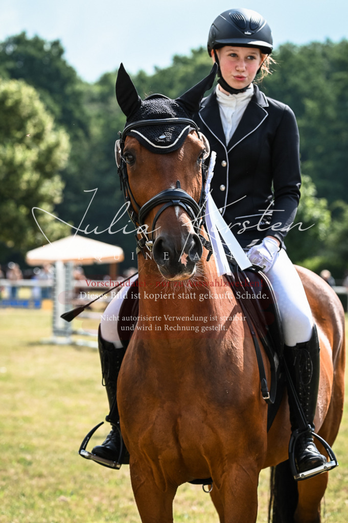 DSC_8609 | Pferde- und Turnierfotografie in Westsachsen. Pferdeportraits, Auftragszeichnungen und intuitive Kunst.