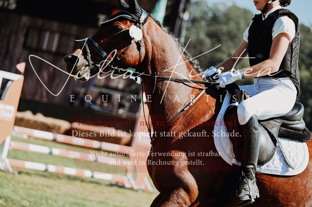 DSC_6801 | Pferde- und Turnierfotografie in Westsachsen. Pferdeportraits, Auftragszeichnungen und intuitive Kunst.