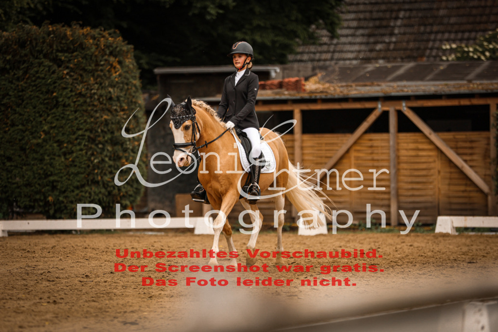 DoDrE00397 | Leoni Ertmer Photography - Realisiert mit Pictrs.com