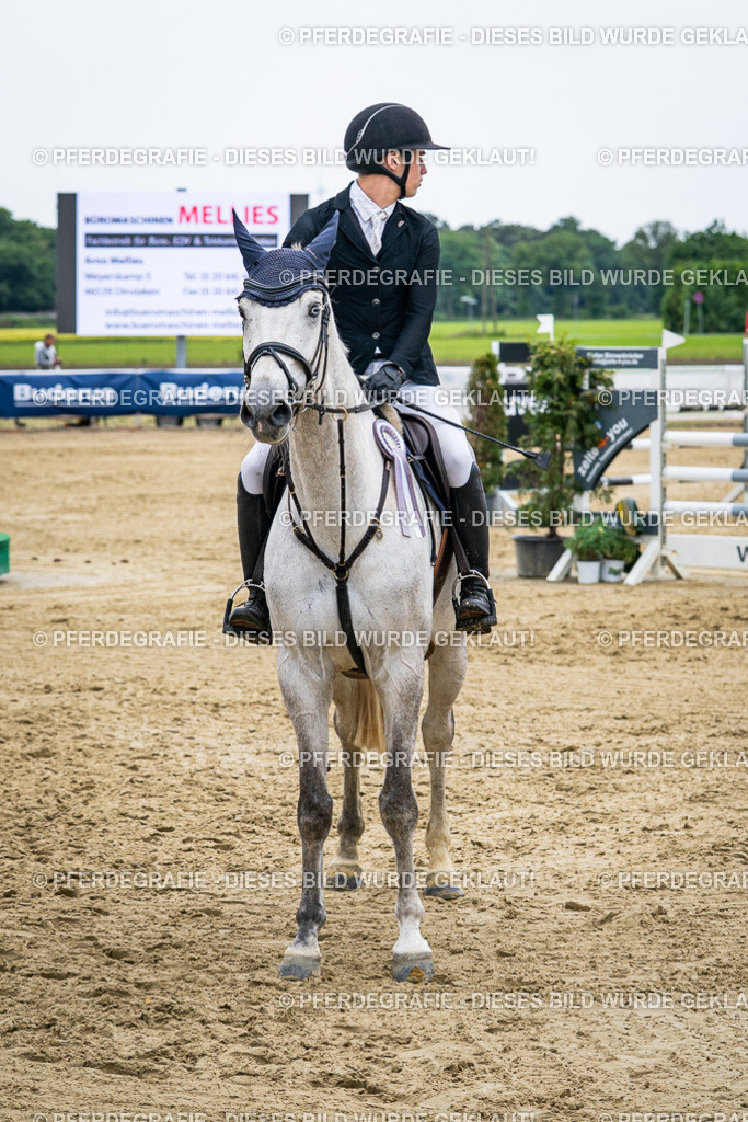 DSC06459 | Pferdegrafie