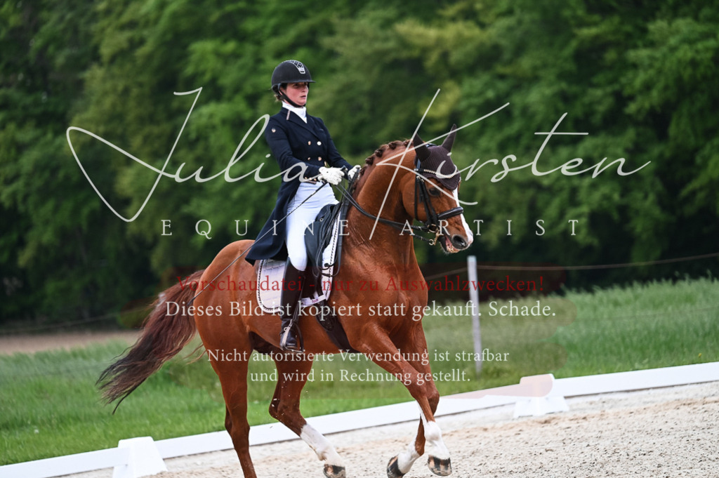 20230513_JK-Röhrsdorf-13-603 | Pferde- und Turnierfotografie in Westsachsen. Pferdeportraits, Auftragszeichnungen und intuitive Kunst.