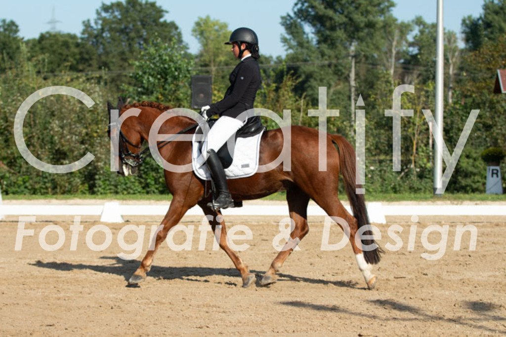 IMG_0711 | Creatify Fotografie