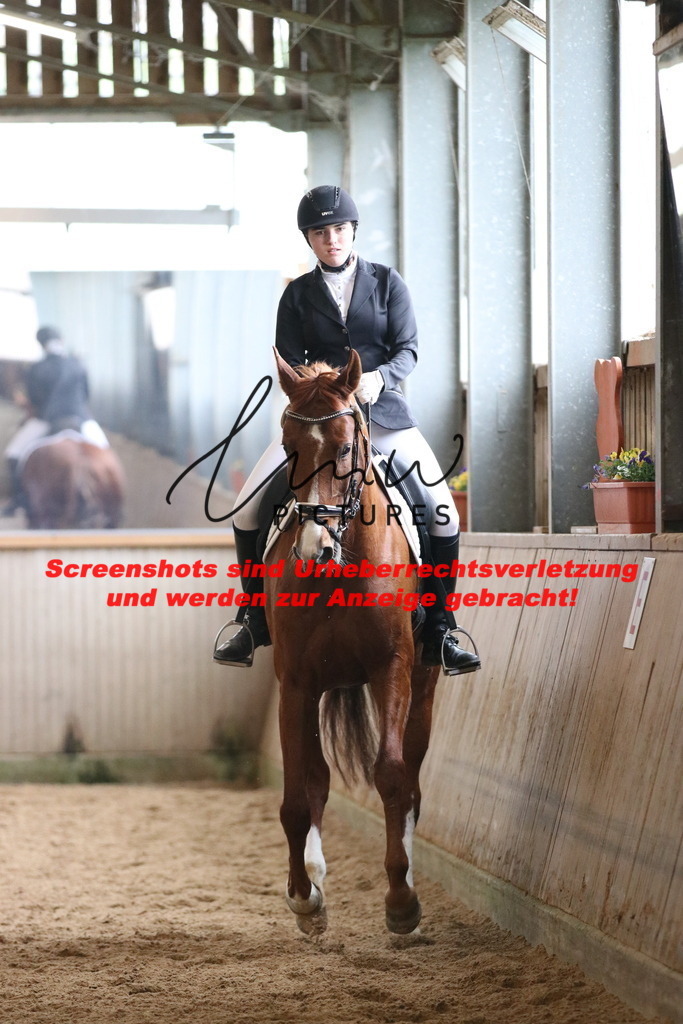 IMG_7768 | lmwpictures - Realisiert mit Pictrs.com