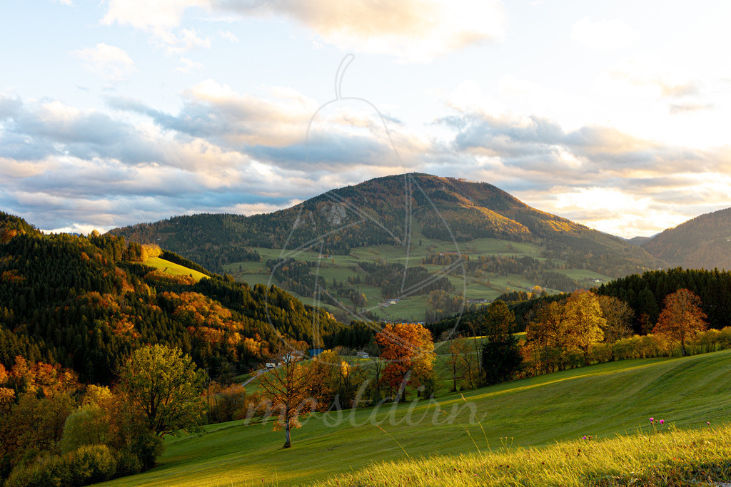 Prochenberg im Herbstkleid | Ihre Fotografin im Lungau, ihre Fotografin im Mostviertel, Wandbilder Onlineshop, Imagefotos für Ihr Unternehmen,  - Realisiert mit Pictrs.com
