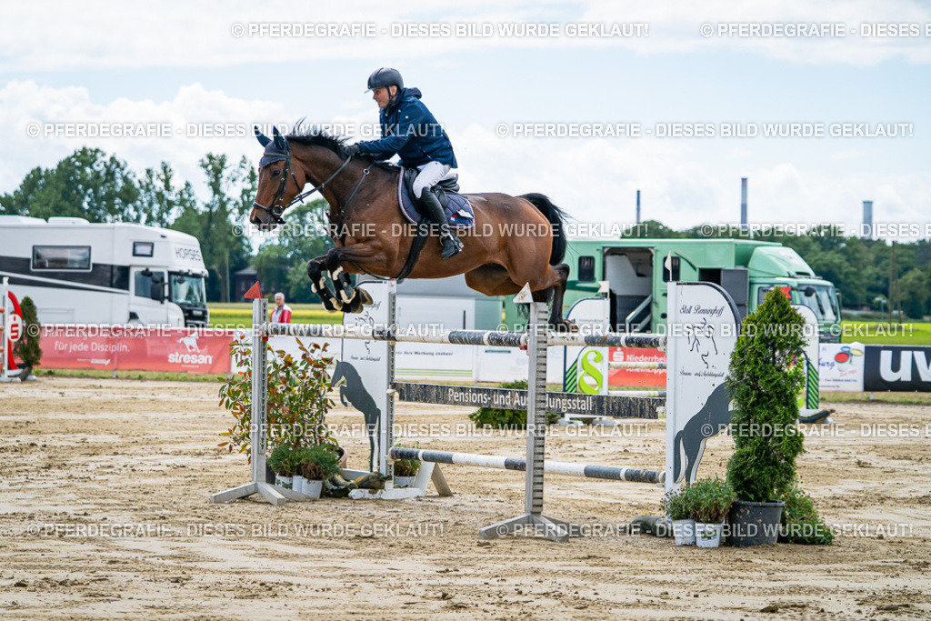 DSC05282 | Pferdegrafie