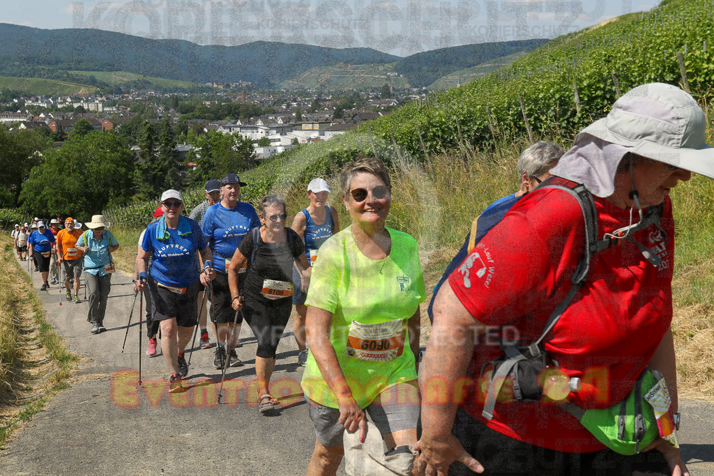 230617_1110_EV9_7796 | Sportfotografie im Rhein-Sieg Kreis, Köln, Bonn, NRW, Rheinland Pfalz, Hessen, etc. Unser Tätigkeitsfeld umfasst den Laufsport vom Volkslauf über den Marathon, Duathlon, Triathon bis zum Ultralauf wie Kölnpfad Ultra oder Schindertrail.