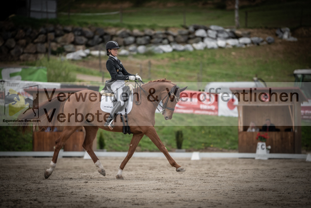 DSC_3032 | equestrian-live-com
