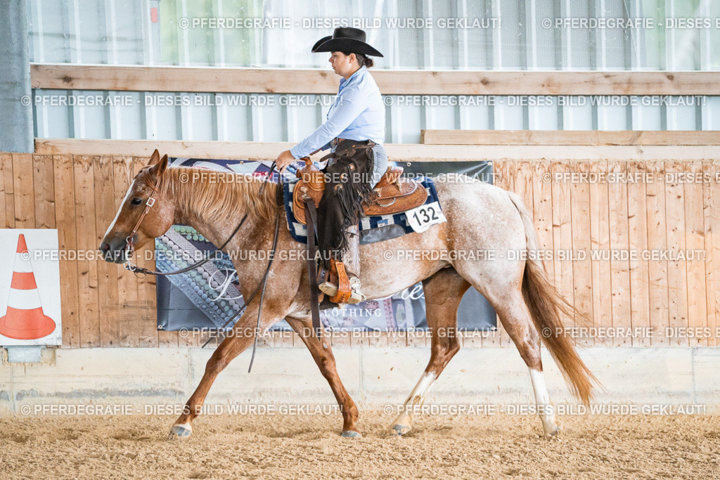 DSC09903 | Pferdegrafie