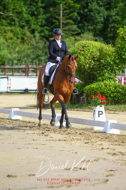 DKP45460 | Turniersportfotografie; Pferdefotografie; Dressurfotografie