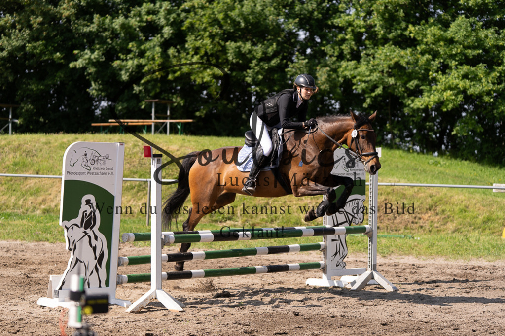 A7507329 | Turnier/Reitfotograf