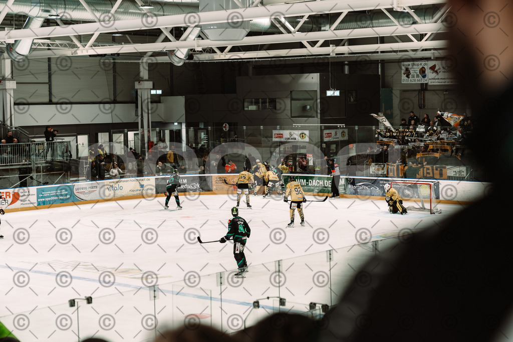 Alligators_vs_Bayreuth_10_2025-71 | Höchstadt Alligators Fotogalerie: Eishockey-Action aus Franken. Professionelle Spielfotos, Portraits & Stadionbilder zum Download. Jetzt entdecken! - Realisiert mit Pictrs.com